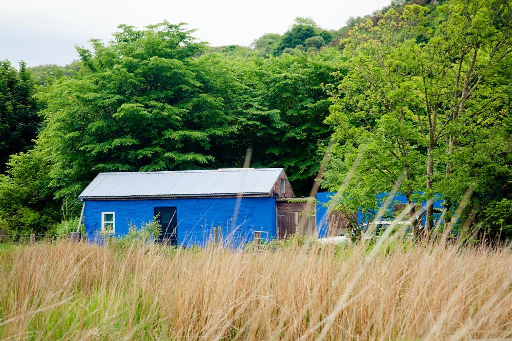 The Snowdon Inn - Y FricsanCwm-y-glo エクステリア 写真